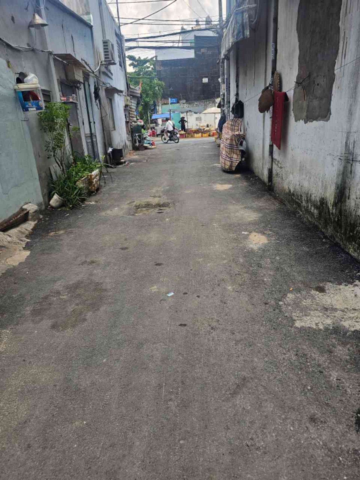 ALONHADAT