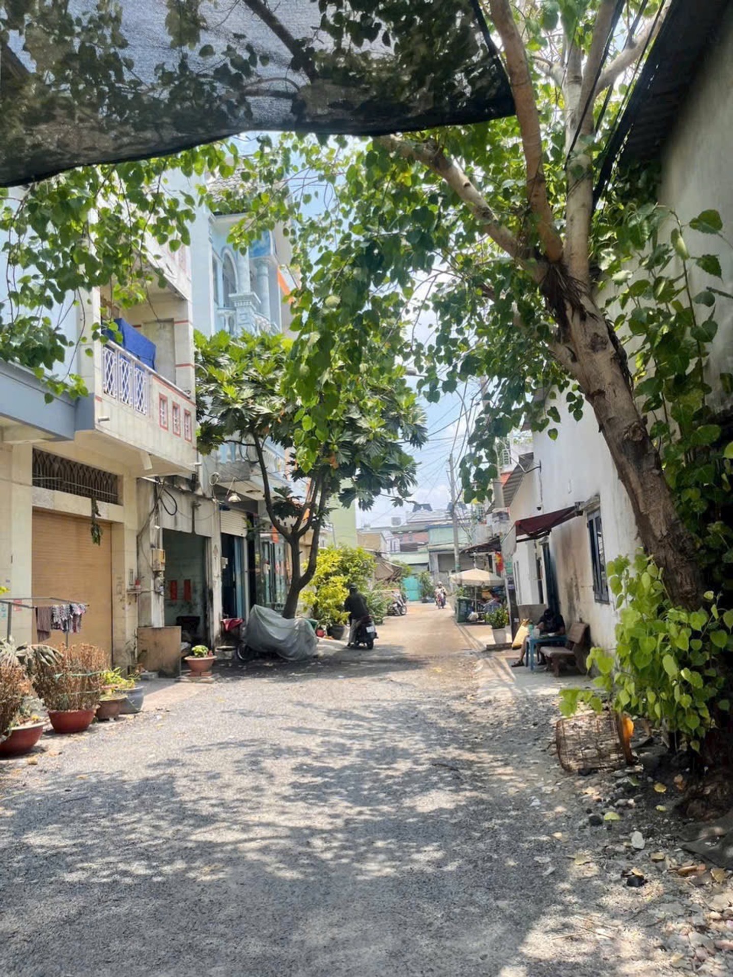 ALONHADAT