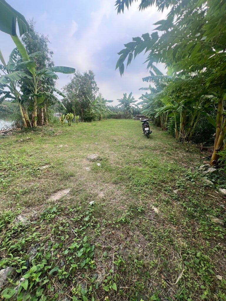 AloNhaDat, Bán Căn Hộ, MIDTOWN
