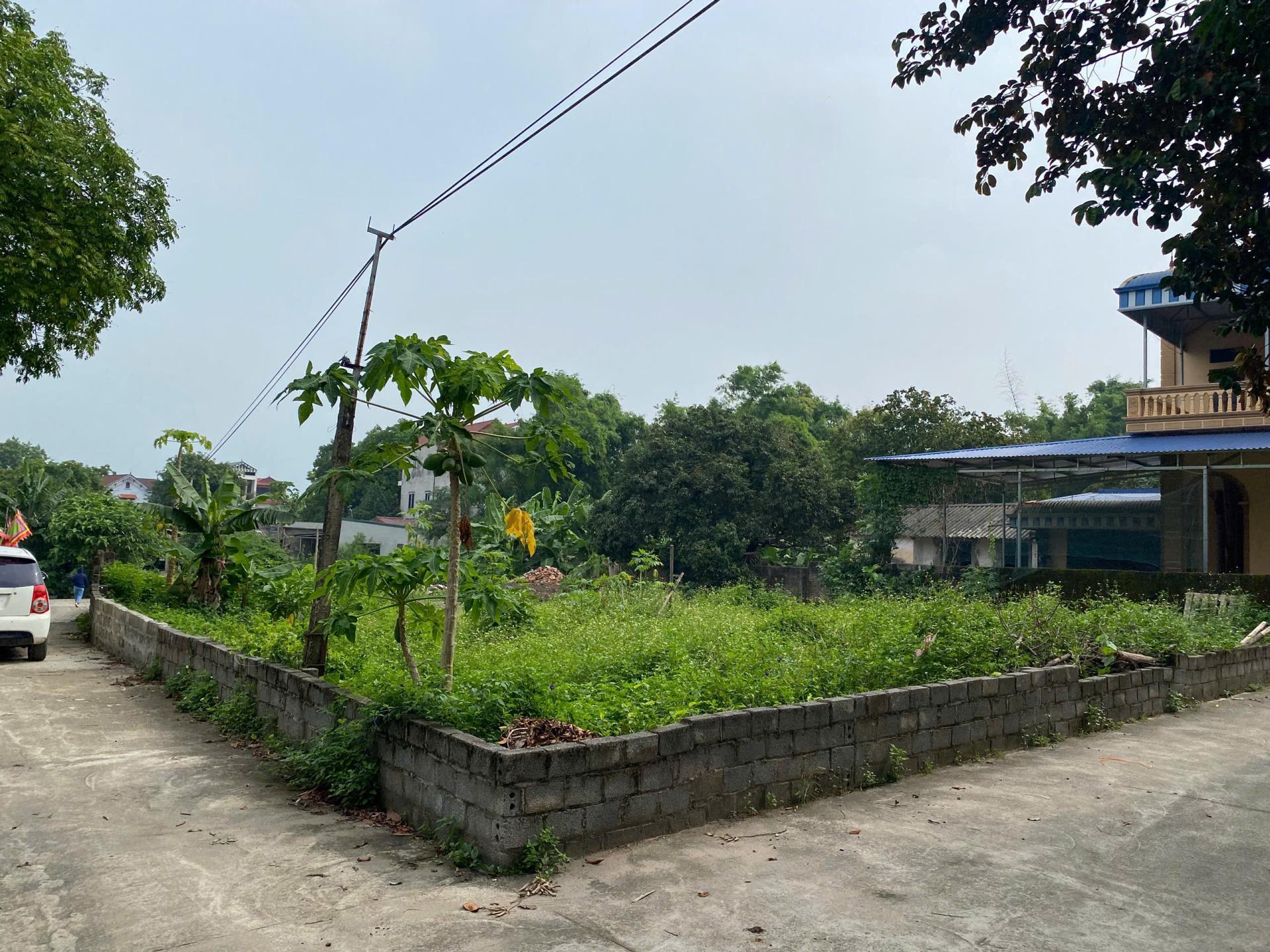 ALO NHÀ ĐẤT / BÁN CĂN HỘ